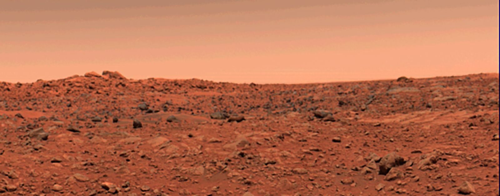 “We must resume the search for life on Mars as soon as possible”